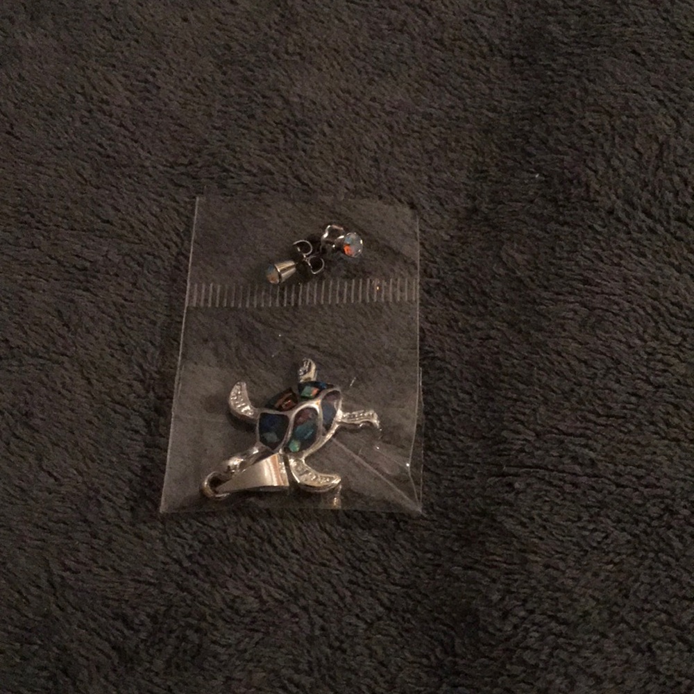 Earrings and necklace pendant